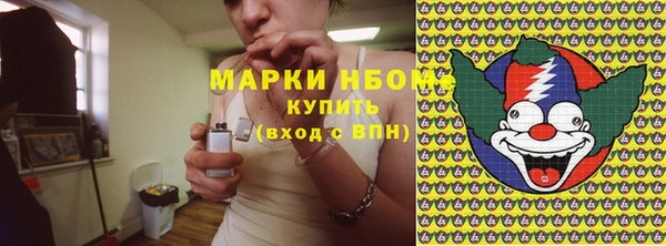 стафф Козловка