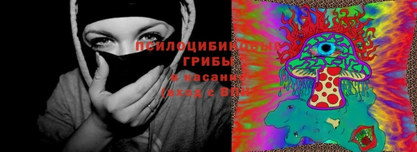 ГАЛЛЮЦИНОГЕННЫЕ ГРИБЫ Балахна
