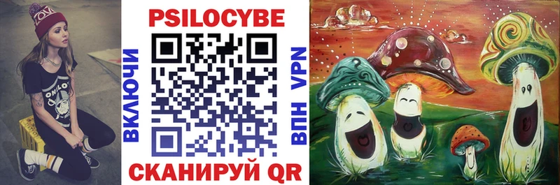 Псилоцибиновые грибы прущие грибы  Бородино 